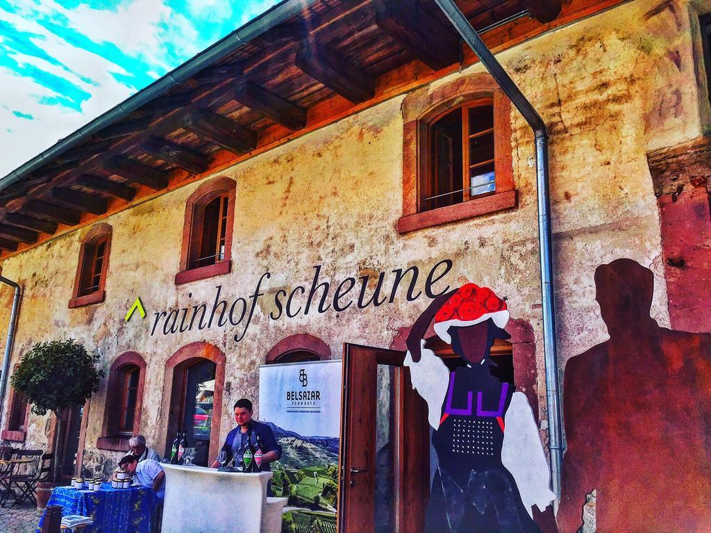 Hotel Rainhof Scheune & Naturpark Restaurant 科齐扎尔滕 外观 照片