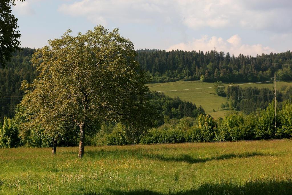 Hotel Rainhof Scheune & Naturpark Restaurant 科齐扎尔滕 外观 照片